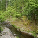 美山荘 - 清流＠2015/5