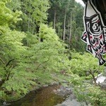 美山荘 - 五月だね！2015/5