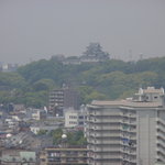 Hotel de yoshino - 和歌山城が見えました