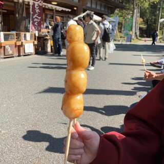 三峰お犬茶屋 山麓亭_0