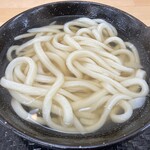 こがね製麺所 - 料理写真:かけうどん小・熱