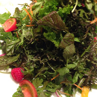ジャッジョーロ銀座 - Andrea（15種のハーブサラダランチ）トッピングはフルーツトマト