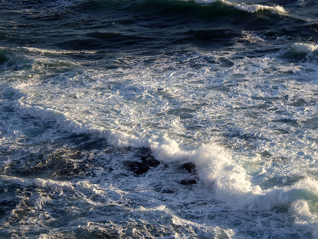 オホーツク産直市場　かにや - 網走（かに）の写真