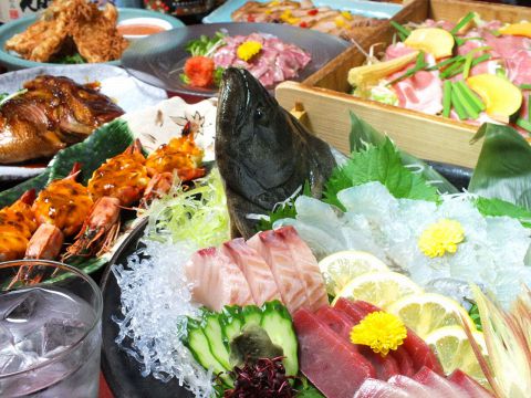 堀居酒屋 こほのほ 郵便局前 居酒屋 食べログ 堀居酒屋 こほのほ 郵便局前 居酒屋 食べログ