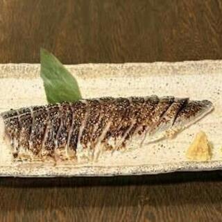 やきとん筑前屋_0