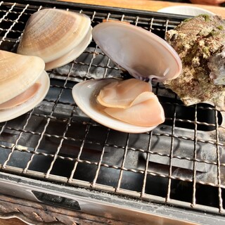 浜茶屋網元_1