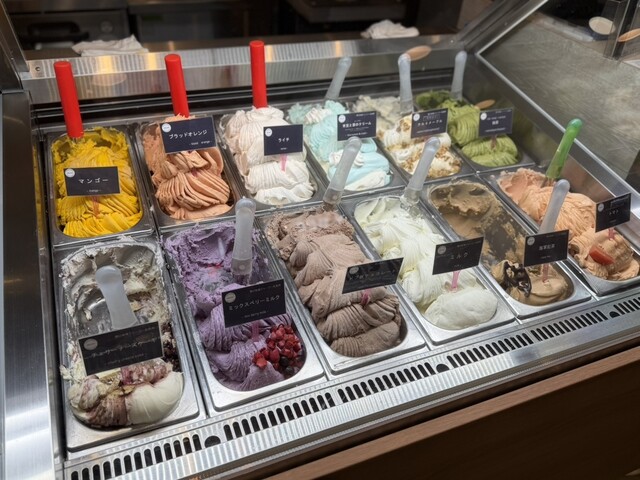 ジェラートファクトリー セット　gelato factory 横須賀ジェラートファクトリー - 横須賀中央/ジェラート・アイス