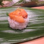 鮨 いし黒 - 雲丹　H27.4月再訪（ランチ）