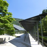 TJK箱根の森 - 2015'6/4