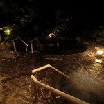 TJK箱根の森 - 露天風呂