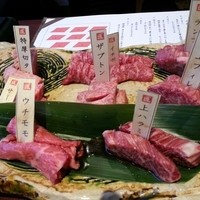 焼肉専科　肉の切り方 銀座数寄屋橋店 - おまかせコース