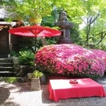 八勝館 - この時期は皐月、野点と共に☆