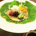 八勝館 - (向付)真子ガレイ、アオリイカ、雲丹☆