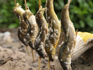 熊野地鶏みえじん - 