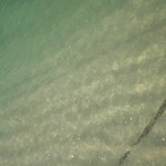 オクマ プライベートビーチ ＆ リゾート - 澄み切った水・・