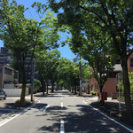 クック・タイゾウ - ケヤキ通り