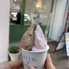 ViTO×IWAIZUMI 高知店