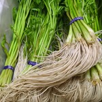サラザン - 料理写真:根っこが美味しい！秋田県湯沢市から『三関セリ』11月中旬〜2月上旬頃、不定期での入荷！