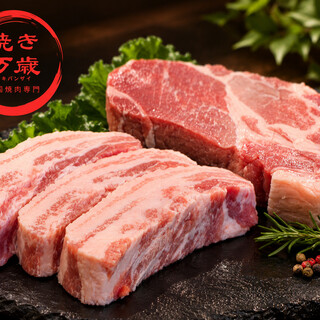 韓国焼肉専門店 ヤキバンザイ_0