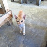 Cơm tấm 2 CHỊ EM - 店内の雰囲気