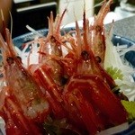 弥生亭 - 6.6 シマエビのお刺身。