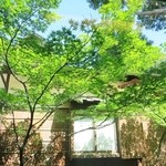 八勝館 - 長い廊下の窓からは青紅葉がきれいです☆