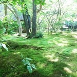 八勝館 - 見事な苔庭☆