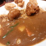 カレーのアップ