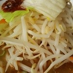 ハルピンラーメン - 2015/5 温野菜塩ハルピン/野菜アップ～