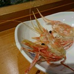 すし屋のさい藤 - ぼたんえびお頭焼き