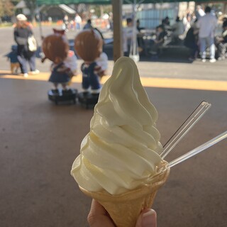 ふれあいの郷直売所 売店_0