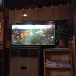 イチビキ - イチビキ・金魚のようにゆったりと待つ