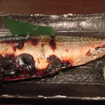 つぼみ - 鯖の西京焼き