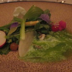 アクアヴィット - スプリンググリーンサラダ　ランプ、バターミルク、レイプシード