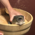 泳ぎとらふぐ活蟹料理 あじ平 曽根崎 - 