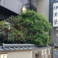 鰻割烹 伊豆栄 本店 - 
