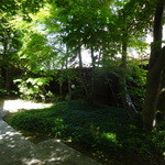 日和茶房 - 庭の様子。