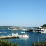 Anori Fugu Ryourimaru Sei - お店の仕入れは近く安乗漁港から。前浜で揚がった、とれたて新鮮なお魚を提供します。