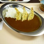 餃子の松 - 松餃子カレー（並）のアップ