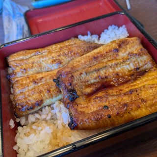 うな藤_0