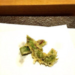 Tempura Araki - 旬の山菜を。ウドの天婦羅