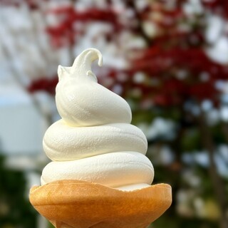 The Sun 蔵人_1
