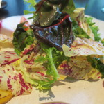 各地農園から届いた畠のサラダ
          