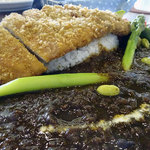 アプランティ - 限定カツカレー1000円、カレールゥ大盛り