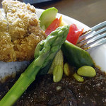 アプランティ - 限定カツカレー1000円、カレールゥ大盛り
