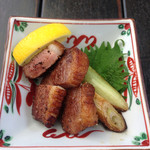 鎌倉 松原庵 - 厚切り鴨肉炙り焼き
      