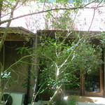 AIDA - お店がありました