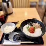 うどん上々