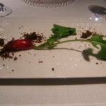 採れたてのラディッシュ