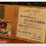 Osteria YOSHI - 